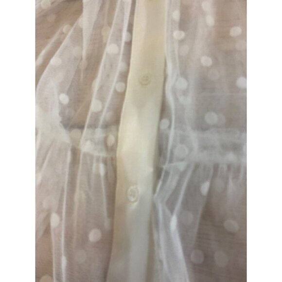 NWT Zara Women's Tulle Sheer Mesh Dot Dress - Small - Picture 5 of 13
